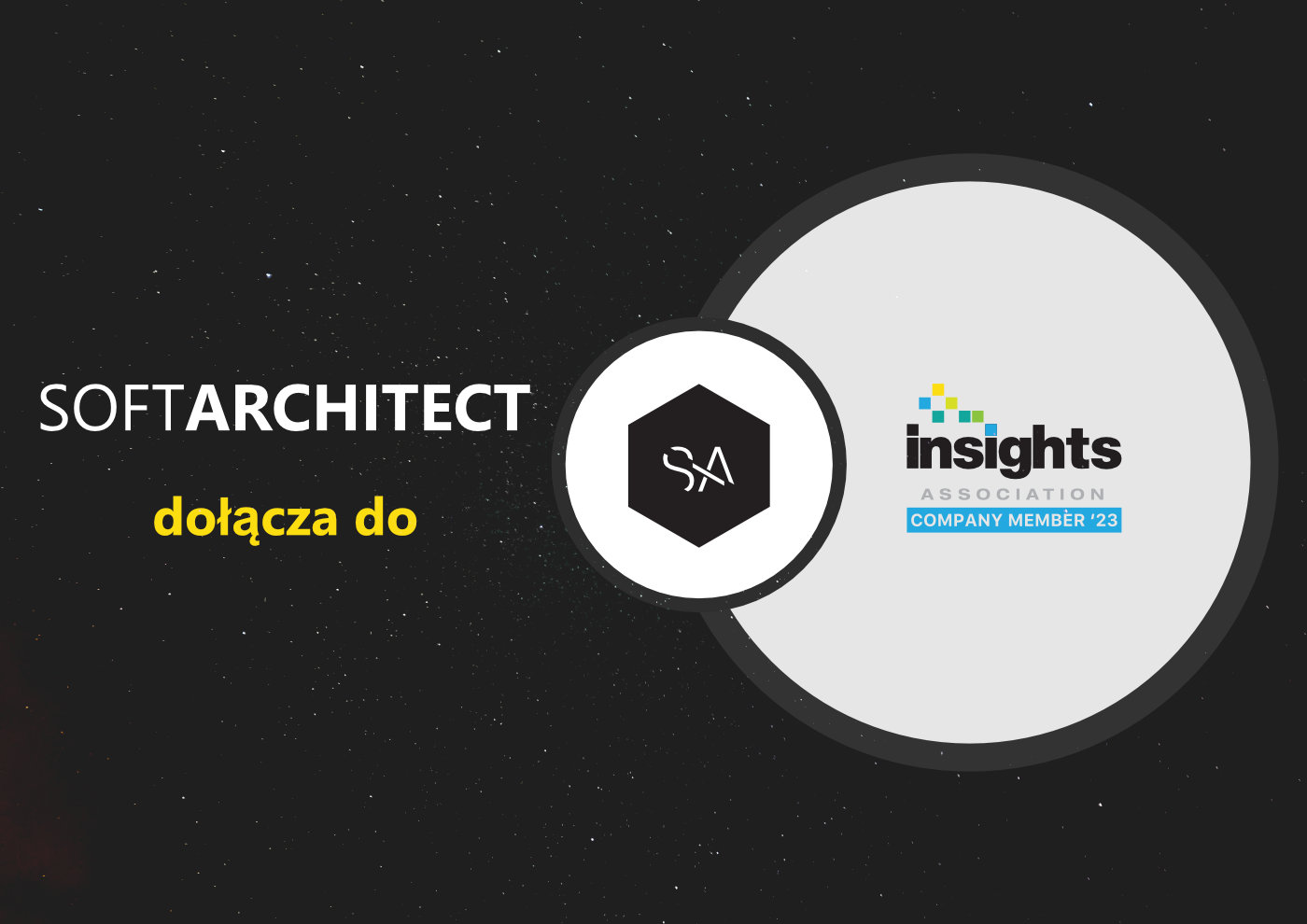 SoftArchitect w Insights Association